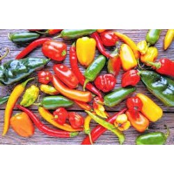 Vatapá 17-07-2020 - Na Boca do Povo